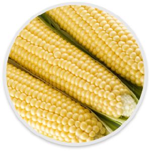 Frozen Corn On Cob