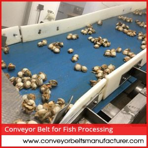 Conveyor Belt For Fish Processing