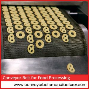 Conveyor Belt For Food Processing