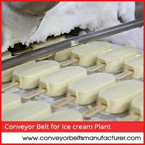 Conveyor Belt For Ice Cream Plant