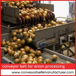 Conveyor Belt For Onion Processing