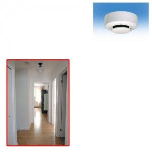 Smoke Detector for Office