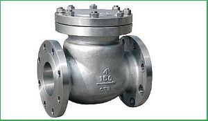 Stainless Steel Check Valves