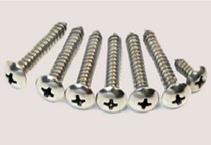 Stainless Steel Screw