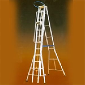 self support extension ladder