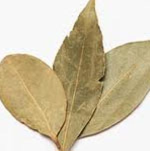 Bay Leaves