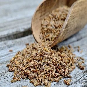 cumin seed