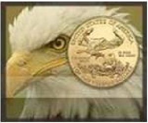USA Gold Coins