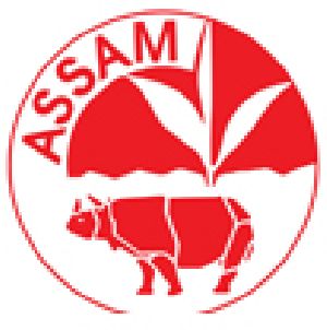 Assam Ctc Tea