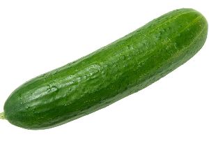 fresh cucumber