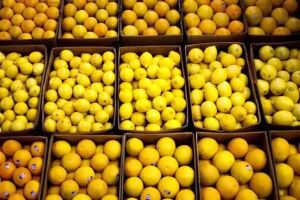 Common Fresh Lemons, Packaging Type : Green, Light Green, Yellow