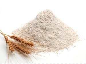 Wheat Flour Mill