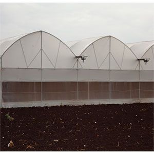 Fan & Pad Greenhouse