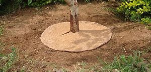 Coco Peat Tree Mat