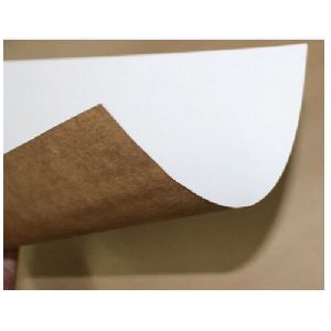 White Top Kraft Liner Latest Price from Manufacturers, Suppliers & Traders