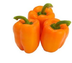Orange Bell Pepper