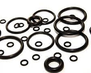 Oil Seals and O Rings