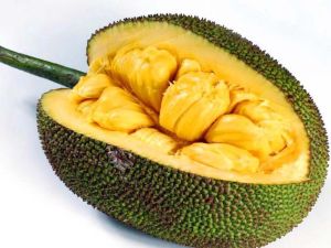 Jackfruit Oil