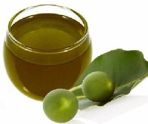 Tamanu Oil