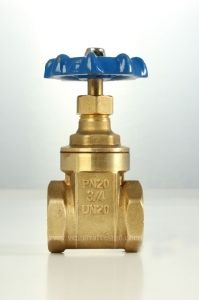 gate valve