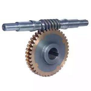 Worm Gear and Worm shaft