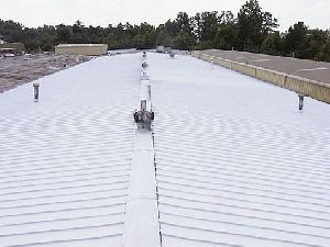 Metal Roof Protecting Services
