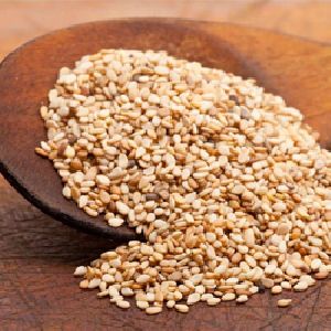 Sesame Oil Seeds