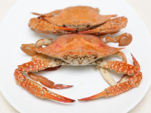 Live and Frozen King Crabs