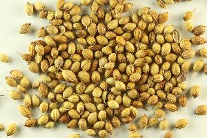 coriander seeds