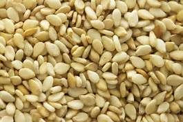 Organic sesame seeds, Packaging Size : 10kg, 1kg, 25kg 5%