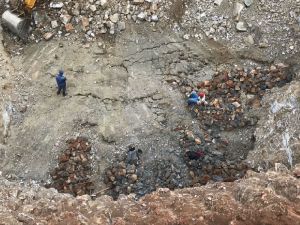 Chrome Lumpy Chrome Lumpy