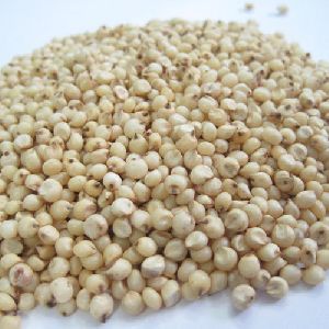 Organic Sorghum Seeds, For Cooking, Feature : Full Of Proteins