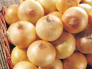 Fresh Yellow Onion