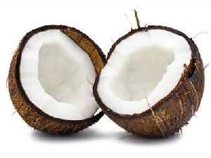 Coconut