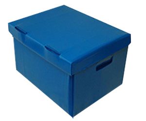PP BOXES AND SHEETS