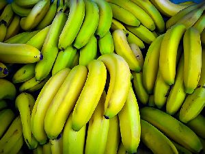 cavendish banana bananas philippines type