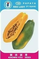 Red lady 786 papaya Taiwan seeds