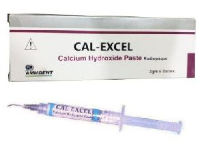 Cal Excel Injection