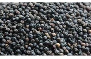 black pepper