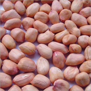 peanut kernel seed