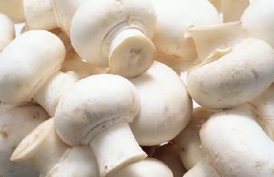 White Mushrooms