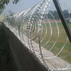 Concertina Wire Fencing