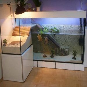 Aquarium Tutorial fish tank