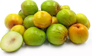 Retailer of Plum Ber fruit & Amla | Maya Aromatics, Chhatarpur