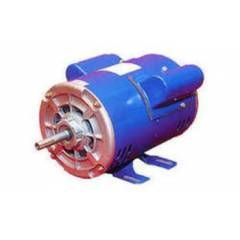 Foot Mounted Induction Motor