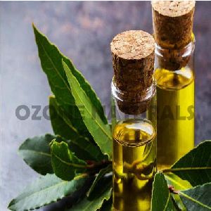 Bay Leaf Oil CO2 Extracted
