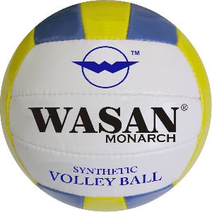 Monarch volleyball