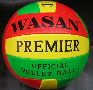 Premier volleyball