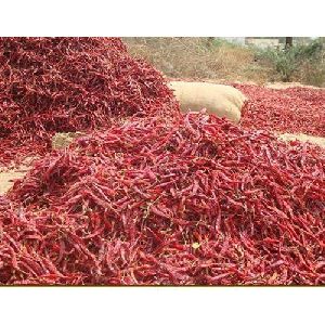 Kashmiri Dried Red Chilli