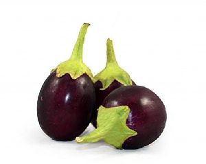 Fresh Organic Brinjal